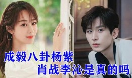 娱乐八卦爆料成毅杨紫是哪一期,揭秘娱乐圈最新绯闻情侣