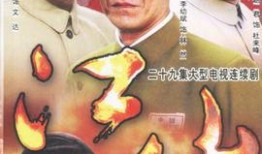 电视剧江山在线观看,揭秘宫廷权谋与家国情怀的传奇故事