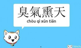 爆料小故事长篇搞笑视频,爆料小故事，笑料连连，欢乐无限