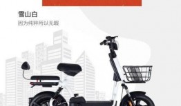 森远电动车爆料视频,揭秘神秘性能与设计亮点