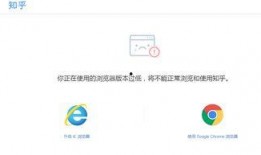 吃瓜浏览器免费看知乎,吃瓜浏览器带你轻松吃瓜