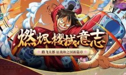 国风路飞爆料视频合集,揭秘动漫背后的精彩故事