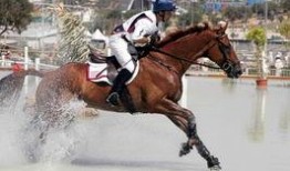 网红骑马爆料事件视频大全,视频大全揭秘幕后真相