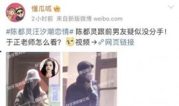 娱乐圈最新爆料辟谣视频,真相与谣言的较量