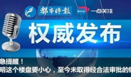 权威记者爆料视频大全集,揭秘真相与内幕