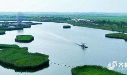 寿光爆料新闻,聚焦民生热点，揭示社会现象