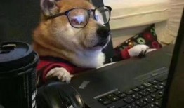 网红狗子张悦吃瓜图片高清,萌态十足高清大图来袭！