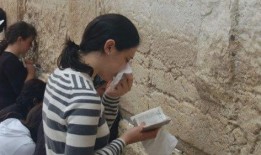 娱乐吃瓜君网红对比,娱乐吃瓜君与网红们的巅峰对决