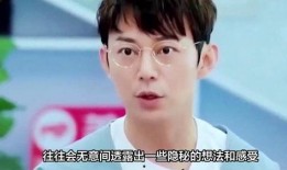 何炅网友爆料视频,揭秘背后真相