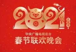 春节爆料视频大全集最新,精彩瞬间回顾，年度盛宴精彩重现