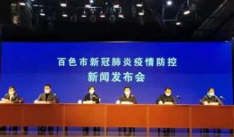 百色市今日新爆料新闻,重大事件引发社会关注！”