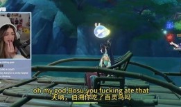 枫丹角色爆料最新版,神秘背景与独特技能揭秘