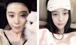 最新娱乐圈明星吃瓜