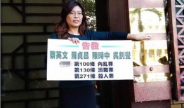 台湾郑丽文爆料新闻视频,独家爆料新闻视频背后的真相