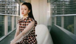 胡连馨爆料视频大全,揭秘娱乐圈幕后真相