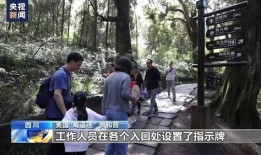 泥潭老哥爆料事件视频在线观看,揭秘事件背后真相