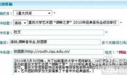 新闻热点爆料投稿流程,如何让你的声音被听见