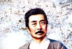 杜源爆料鲁迅视频,鲁迅视频背后的故事与真相