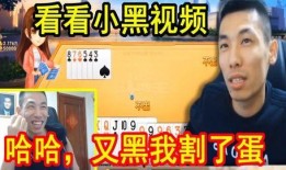 小黑爆料搞笑视频合集在线观看,笑点满满，在线观看