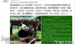 熊猫的食珍爆料视频,探寻国宝的美食世界