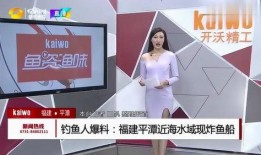 钓鱼爆料视频下载安装最新,最新钓鱼技术解析与防范攻略