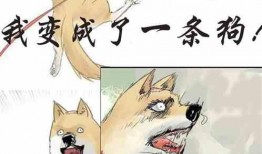 一枚吃瓜宝宝小说免费阅读,揭秘娱乐圈背后的秘密