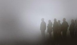 电影迷雾在线观看,惊悚迷雾中的生存之战