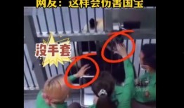 过气韩女团综艺爆料视频,综艺爆料视频曝光惊人内幕