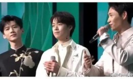 娱乐圈吃瓜爆料金星,金星爆料，揭秘明星背后的秘密