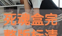 死魂盒完整版在线观看,揭秘神秘力量的惊悚之旅