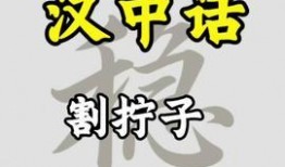 汉中今日头条新爆料,揭秘神秘事件背后的真相！