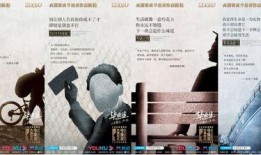 圈儿在线观看,揭秘网络社交圈的奥秘与挑战