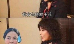 爆料王菲打牌视频播放下载,高清画面引网友热议，下载播放热潮来袭