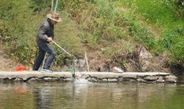 小孩水沟钓鱼爆料视频,小钓手水沟垂钓，捕捉童年美好瞬间