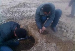 户外土豆爆料视频大全,揭秘田间地头那些事儿