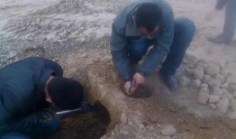 户外土豆爆料视频大全,揭秘田间地头那些事儿