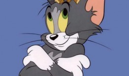 在线观看猫和老鼠,猫和老鼠在线观看，欢乐时光再现