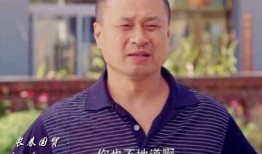 王老七爆料赵本山视频,揭秘娱乐圈背后的故事