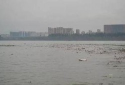 今日西湾公园爆料事件是真的吗