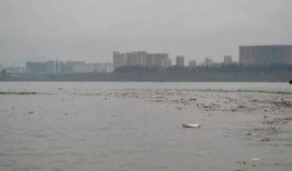 今日西湾公园爆料事件是真的吗