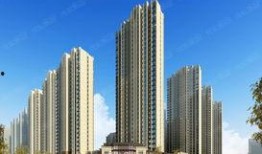 石家庄保利最新爆料