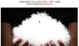 雅鹿官方最新爆料