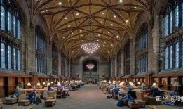 芝加哥大学爆料视频下载,独家爆料视频下载背后的真相