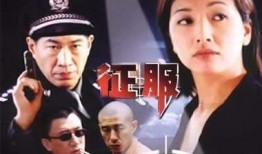 电视剧征服在线观看,权谋与情感交织的官场风云