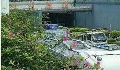 陈村街坊爆料事件视频,视频揭露惊人真相