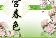 宫春色在线观看,宫廷秘史，权谋与爱情的纠葛