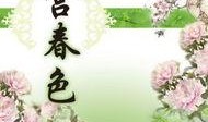 宫春色在线观看,宫廷秘史，权谋与爱情的纠葛