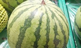 新大瓜免费吃瓜入口,畅享独家资讯盛宴！