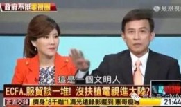 台湾名嘴私下爆料视频,揭秘政坛幕后真相