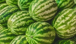 哪里可以吃免费的瓜,揭秘全国瓜果免费品尝地
